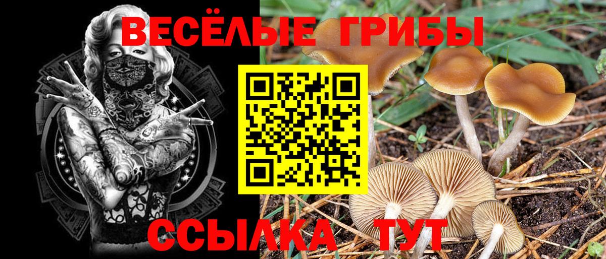 Псилоцибиновые грибы мухоморы Учалы